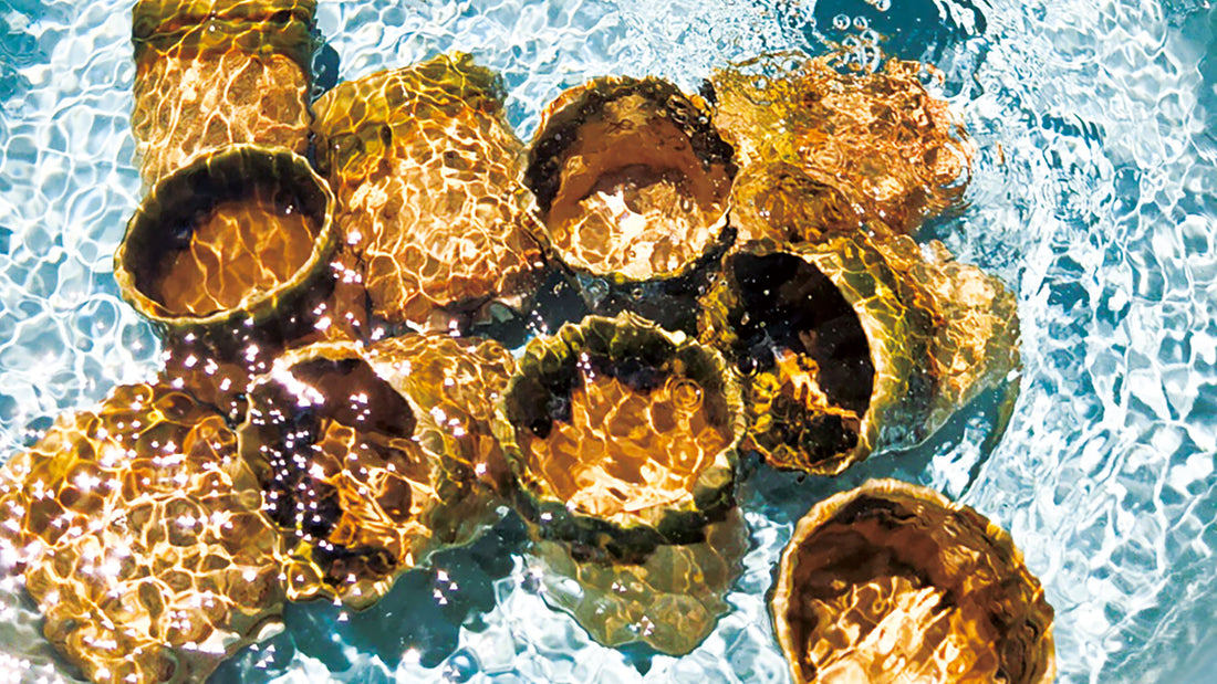 泥々通信01を発行